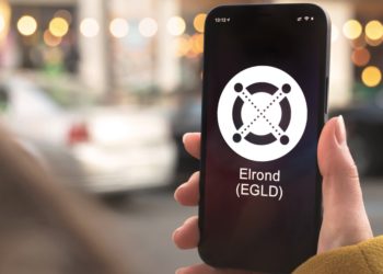 Elrond Gets the Greenlight from Romania Central Bank In-Principle for Acquiring Payments Firm Twispay