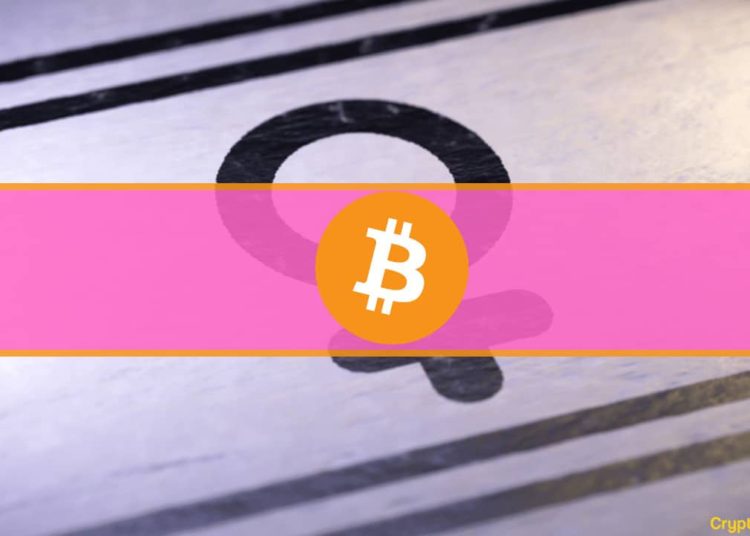 33% of Surveyed American Women Intend to Buy Crypto in 2022: Study