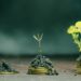 Former a16z Founder Katie Haun’s Crypto VC Fund Raises $1.5 Billion