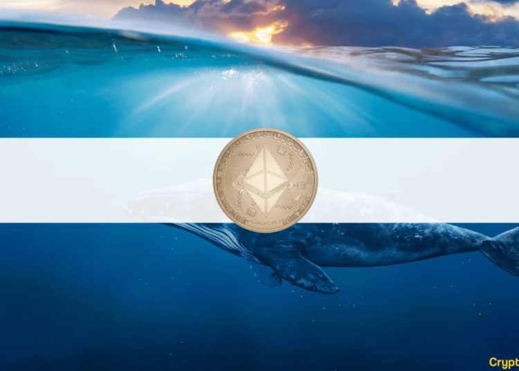 Top 100 ETH Addresses and Their Stacks: What Do Whales Hold?