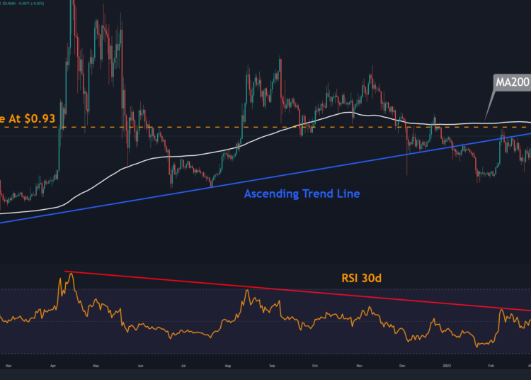 Ripple Uptrend Slows Down, Is $1 Possible?