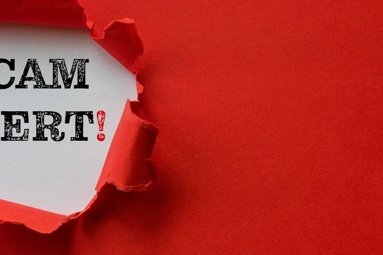 Scammers Out In Full Force After ApeCoin Announcement