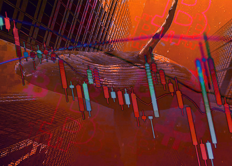 On-chain data shows Bitcoin whales are actively selling, is trouble brewing?