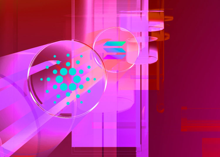 Top Trader Warns Potential Bull Trap Set for Cardano (ADA), Solana (SOL) and Two Additional Altcoins