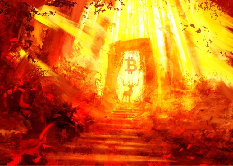 Top Crypto Analyst Predicts Bullish Continuations for Bitcoin (BTC) and Three Low-Cap Altcoins