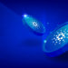 Coinbase Now Allows Cardano Staking Services, Firm ‘Plans to Continue to Scale Staking Portfolio’ – Bitcoin News