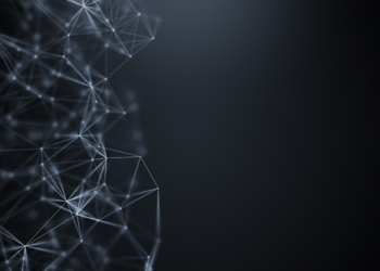 Adobe’s Behance Adds Solana NFT Capability Via Phantom Wallet  