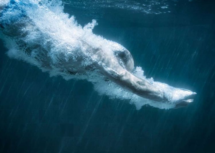 Yearn Finance (YFI) Plunges 13% on Reports of Andre Cronje Leaving Crypto