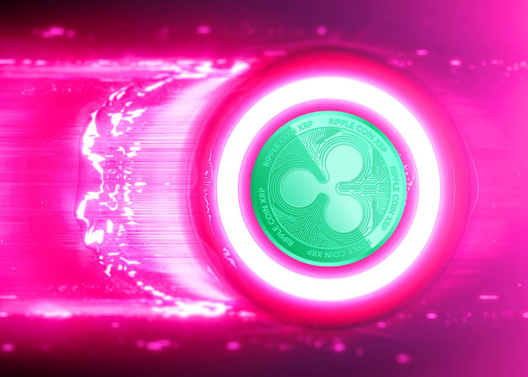 Ripple CEO Says SEC Has ‘Hard Argument’ To Make in XRP Lawsuit As Expert Testimony Wraps