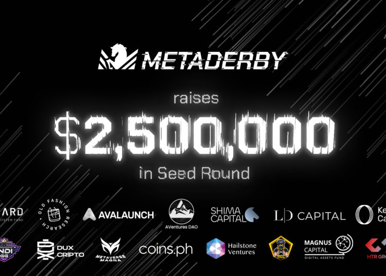 MetaDerby Completes $2.5M Funding Round Led by Ava Labs and Old Fashion Research