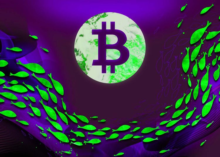 Stock Market Hinting at a Bitcoin Reversal? Crypto Analyst Benjamin Cowen Looks at Under-the-Radar Price Action