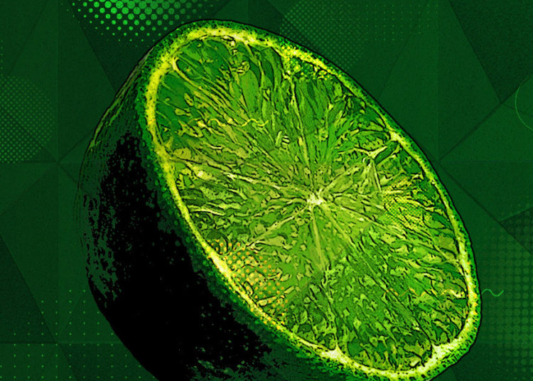 LimeWire is coming back as an NFT marketplace, but hasn’t the bubble burst already?