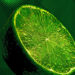 LimeWire is coming back as an NFT marketplace, but hasn’t the bubble burst already?
