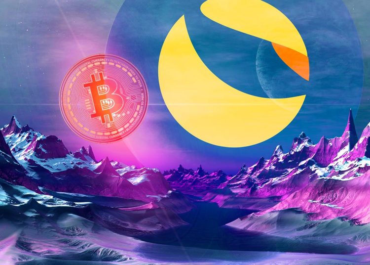 Mysterious Bitcoin Wallet Accumulates Over $1,300,000,000 in BTC in Just Two Months – Is It Terra (LUNA)?