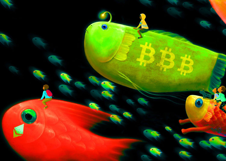 Crypto Analyst Issues Massive Price Warning for Bitcoin (BTC), Ethereum (ETH) and Three Altcoins – Here Are His Targets