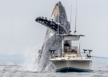 Mega Awakening — Whale Transfers 429 ‘Sleeping Bitcoin’ From 2010 Worth Over $16.8 Million – Bitcoin News