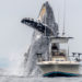 Mega Awakening — Whale Transfers 429 ‘Sleeping Bitcoin’ From 2010 Worth Over $16.8 Million – Bitcoin News