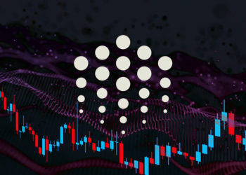Ocean Protocol jumps 27% in the past day, what’s behind the rise?
