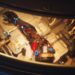 Delysium, the world’s first PLAYABLE AAA MMO web3 game, closed $4 million in its first round of private sale