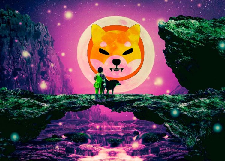 Ethereum Whale Initiates Massive $90,000,000 Shiba Inu (SHIB) Transaction As Top Memecoin Bounces