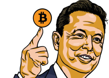 BTC Continues to Consolidate, Despite Encouraging Comments From Elon Musk  – Market Updates Bitcoin News