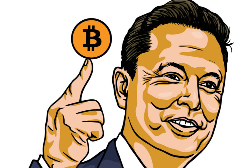 BTC Continues to Consolidate, Despite Encouraging Comments From Elon Musk  – Market Updates Bitcoin News