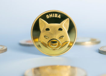 The Number of SHIB Holders Shudders in 3 Days, Shiba Inu Slid 17% in Value Last Month – Altcoins Bitcoin News