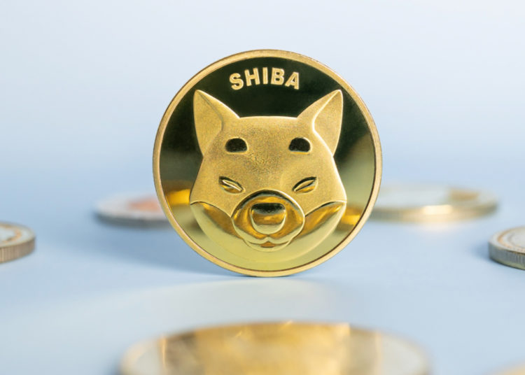 The Number of SHIB Holders Shudders in 3 Days, Shiba Inu Slid 17% in Value Last Month – Altcoins Bitcoin News
