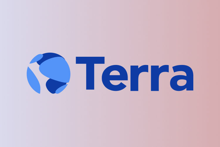 Terra Network Sees Significant Growth, Plans 160 New Projects For 2022