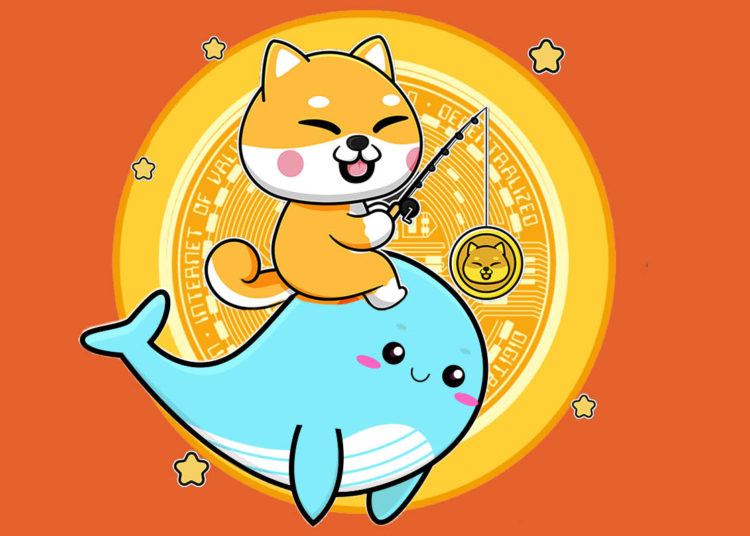 Ethereum Whales Rush Into Shiba Inu (SHIB) and Several DeFi Altcoins in an Uncertain Market