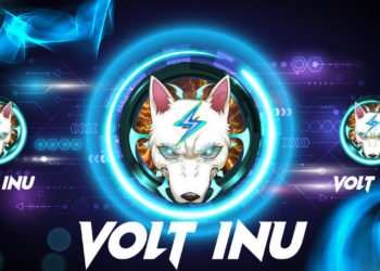 Volt Inu Announces Exciting Developments for Its Project