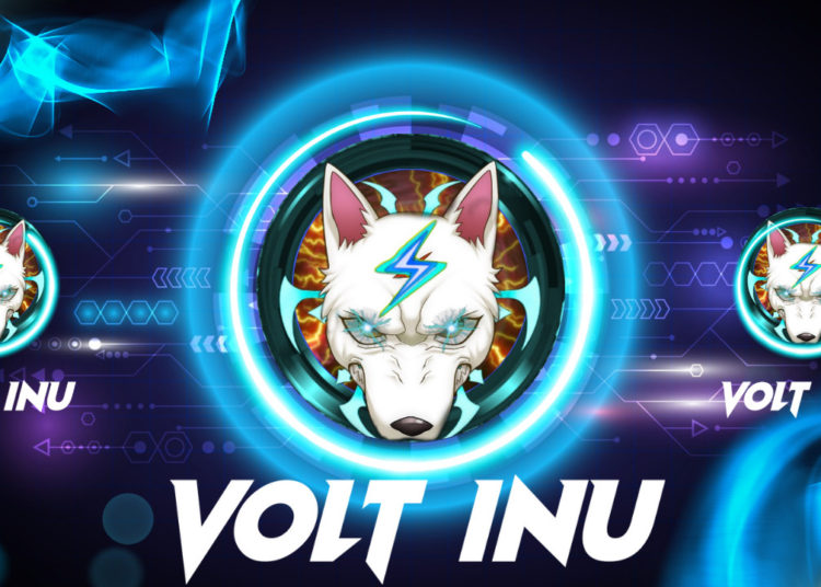 Volt Inu Announces Exciting Developments for Its Project