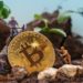 Musk Abandons Twitter Board, Tesla Builds Partnership to Make BTC Mining Eco-Friendly