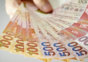HKMA Seeks Public Consultation for e-HKD Development