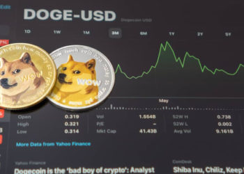 Transactions Worth over $100K Escalate on the Dogecoin Network after Elon Musk’s Acquisition of Twitter