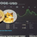 Transactions Worth over $100K Escalate on the Dogecoin Network after Elon Musk’s Acquisition of Twitter
