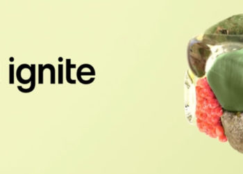 Ignite Floats $150m Accelerator Fund for Web3.0 Projects