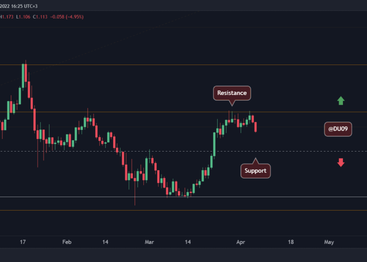 Cardano Sheds 8% Daily, is $1 in Sight?