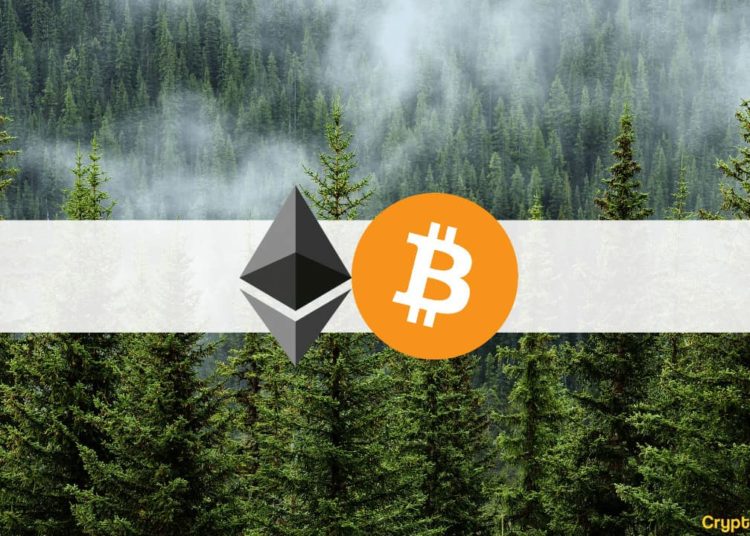 BTC Touched $42K, ETH Recorded 10-Day High (Market Watch)