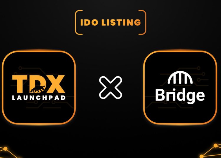 Bridge Network is Launching Its IDO on TDX Launchpad