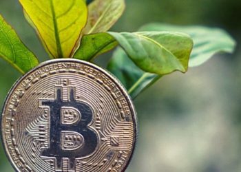 Bitcoin Moving To Greener Pastures? 60% Of Mining Is Now Sustainable