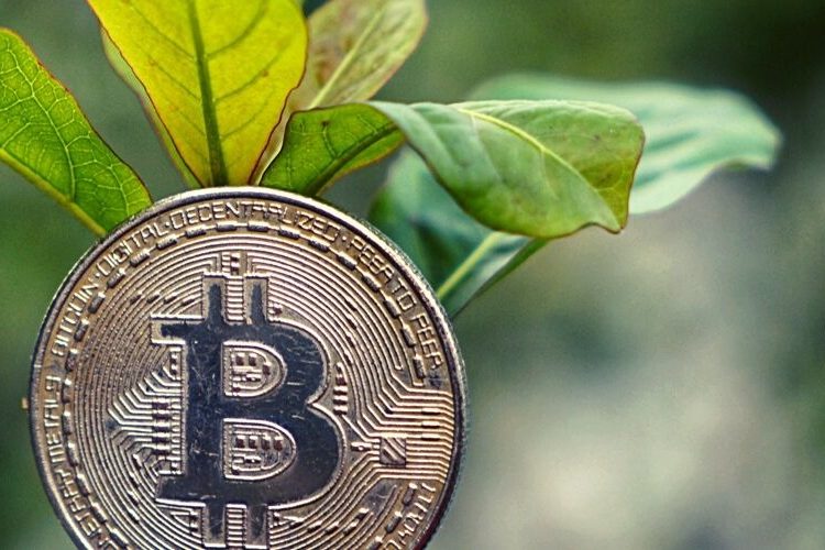 Bitcoin Moving To Greener Pastures? 60% Of Mining Is Now Sustainable