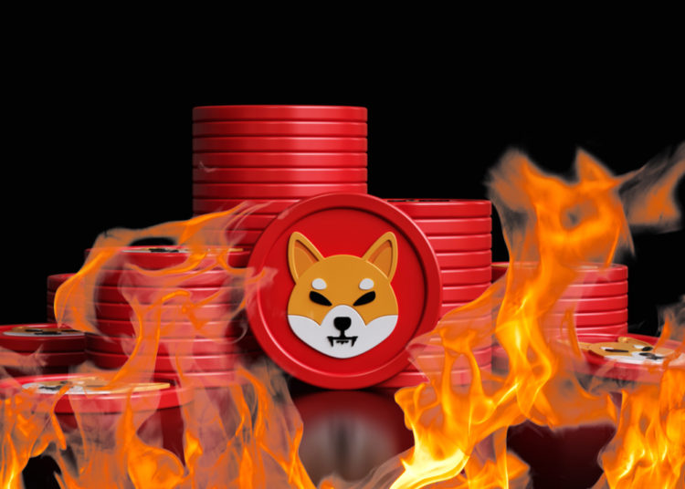 Shiba Inu’s New Burn Portal Rewards SHIB Burners for Destroying Their Tokens – Altcoins Bitcoin News