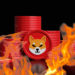 Shiba Inu’s New Burn Portal Rewards SHIB Burners for Destroying Their Tokens – Altcoins Bitcoin News