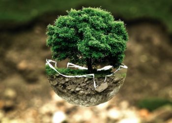 Algorand announces its $15 million commitment to environmental cause