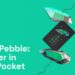 Nearly 100K users sign up to IoTeX’s Meta-Pebble within 5 days. But what is it?