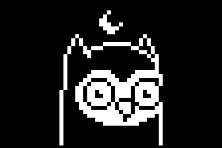 Moonbirds Make Spectacular Debut, Register $290 Million Worth Of Sales In Four Days