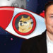 Tesla CEO Elon Musk Shares Dogecoin Video — Says It ‘Explains Everything’ – Altcoins Bitcoin News