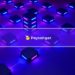 Paysenger: An Extensive Guide