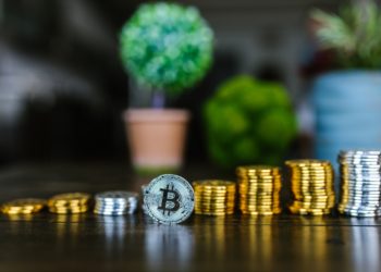 Best NFT Wallets of 2022
